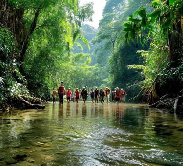 西双版纳热带雨林之旅，深度体验自然魅力