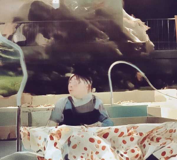 普洱秘境之旅，茶马古道寻踪，南诏文化之旅